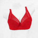 LIGHT PADDED WIRED NET LACE BRA-RED