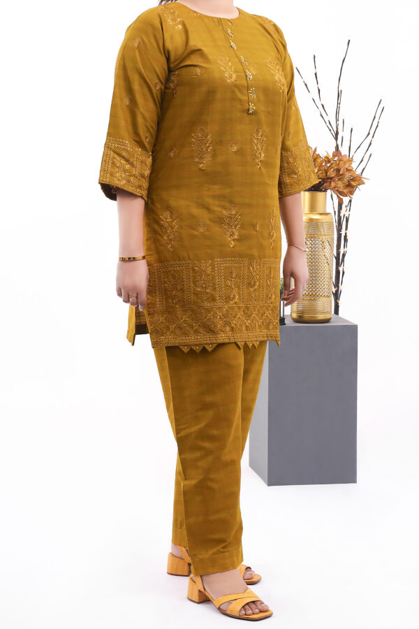 Ladies Stitched khaddar 2pc