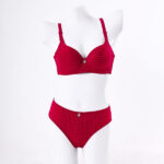 LIGHT PADDED WIRED BRA SET-RED