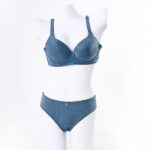 LIGHT PADDED WIRED BRA SET- SKY