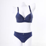 LIGHT PADDED WIRED BRA SET - BLUE