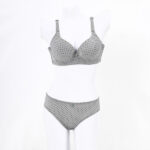 LIGHT PADDED WIRED BRA SET-GREY