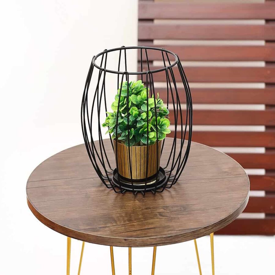 ROUND CAGE PLANT BLACK