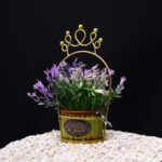 Basket Plant Purple