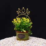 Basket Plant Yellow