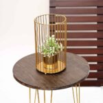 CAGE PLANT GOLDEN