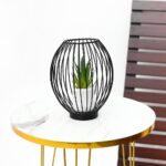 OVAL SHAPE PLANT