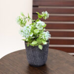 Vase with Plant
